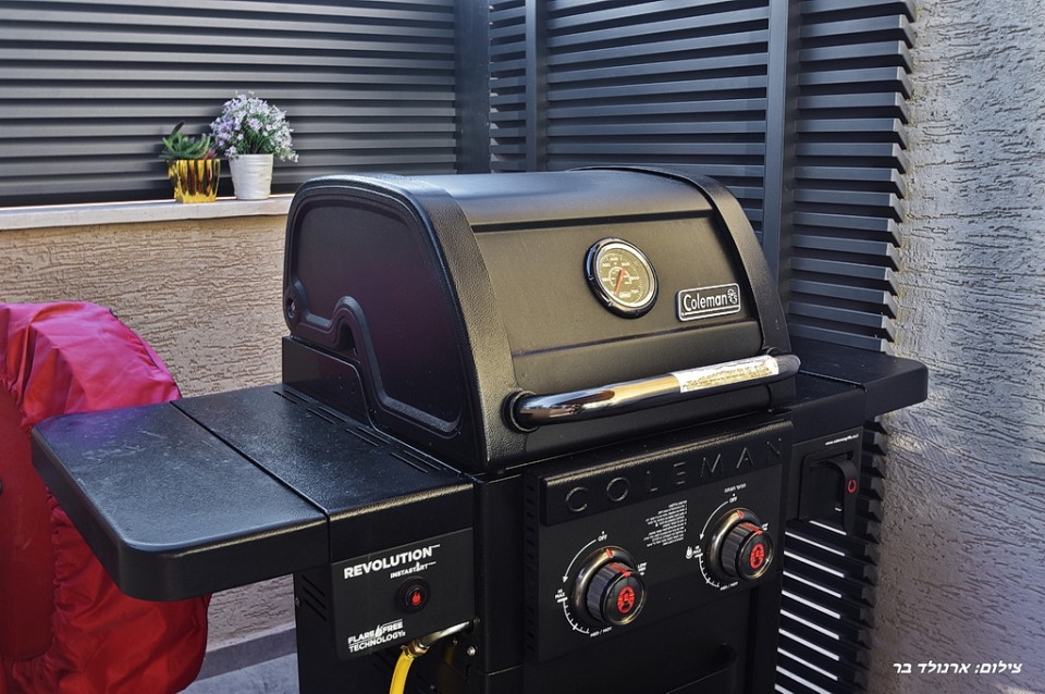 רומאנס 1 בריכה פרטית 8