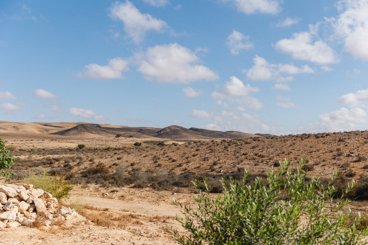 סוויטת האבן 4