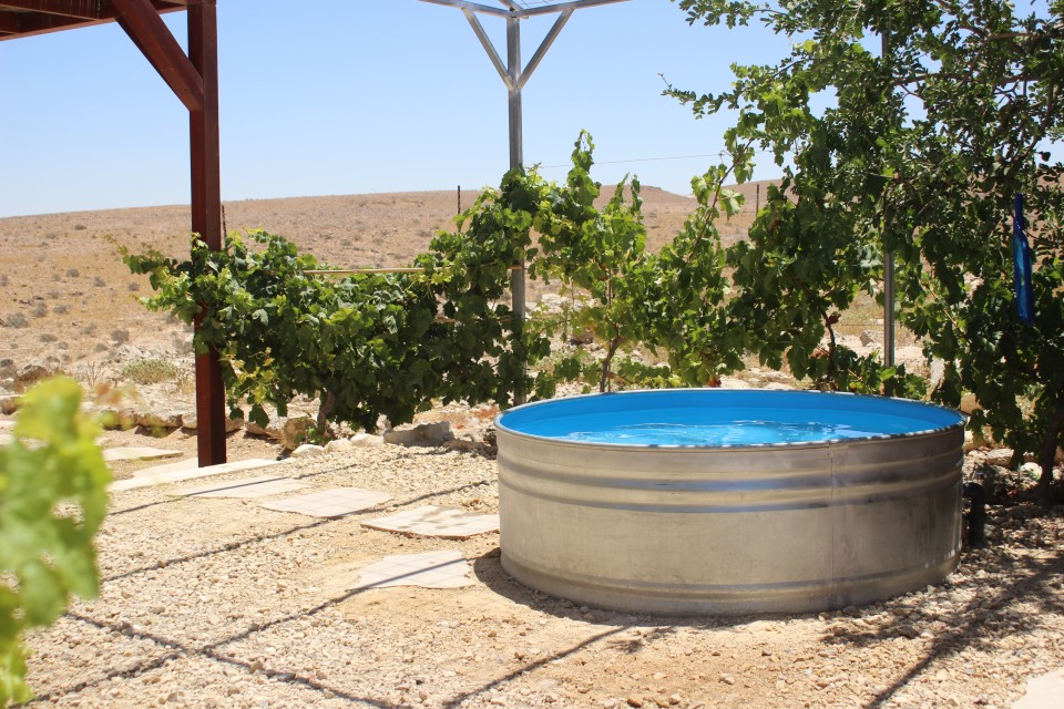 צימר הגפן 1