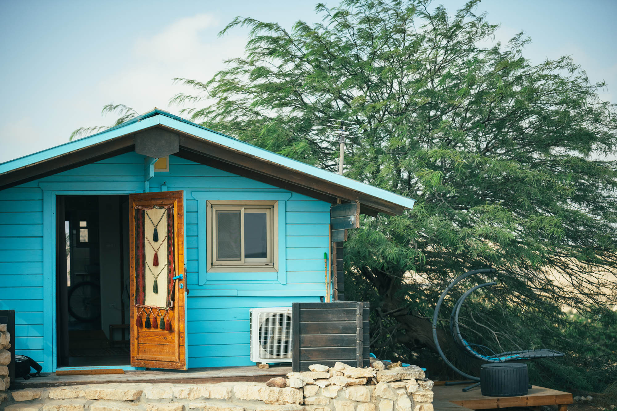 חלמונית / Sternbergia cabin