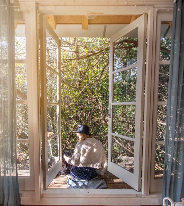 הבית הכחול של יער 1