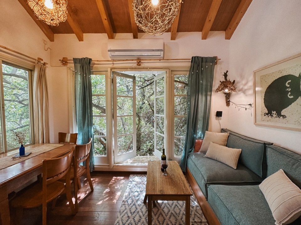 הבית הכחול של יער 11