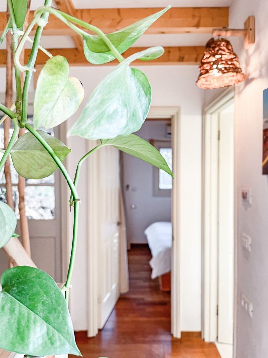 הבית הכחול של יער 3