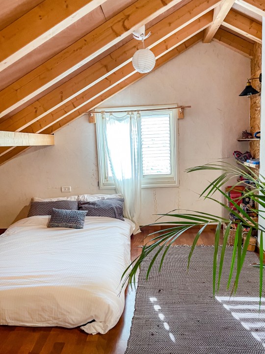 הבית הכחול של יער 7