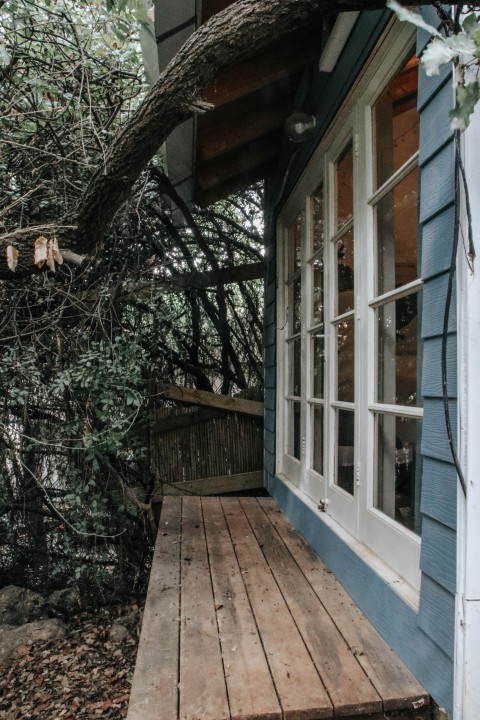 הבית הכחול של יער 9