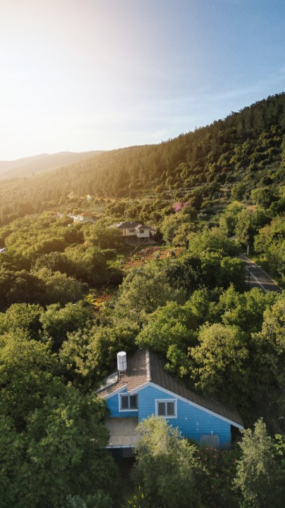 הבית הכחול של יער 10