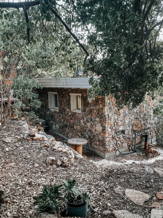 בית היסמין 16