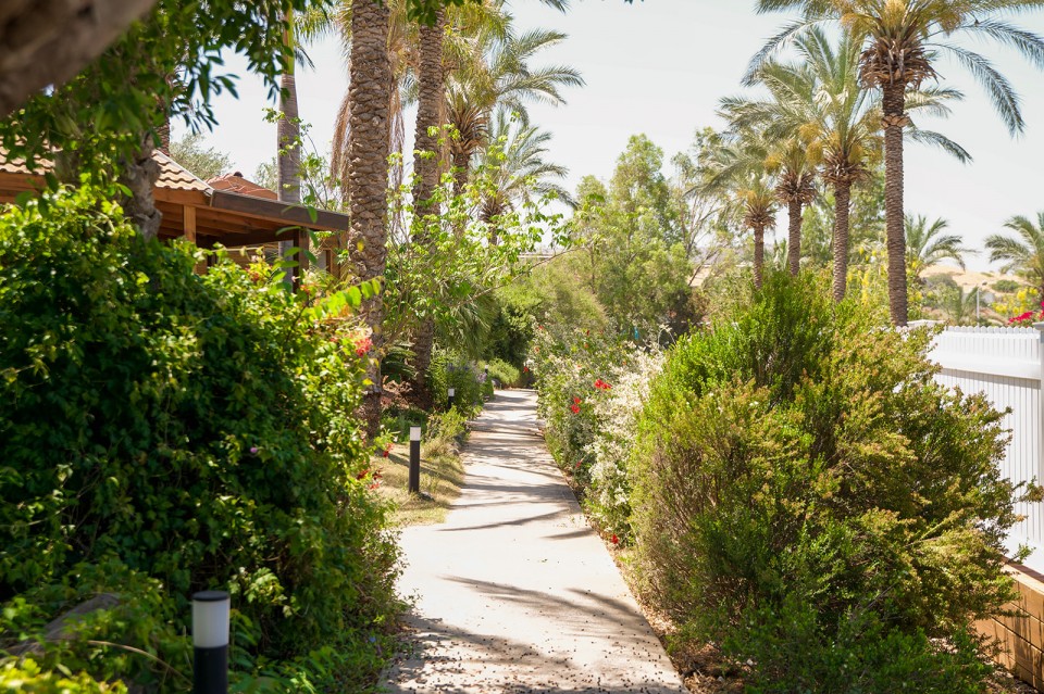 החצר והגינה