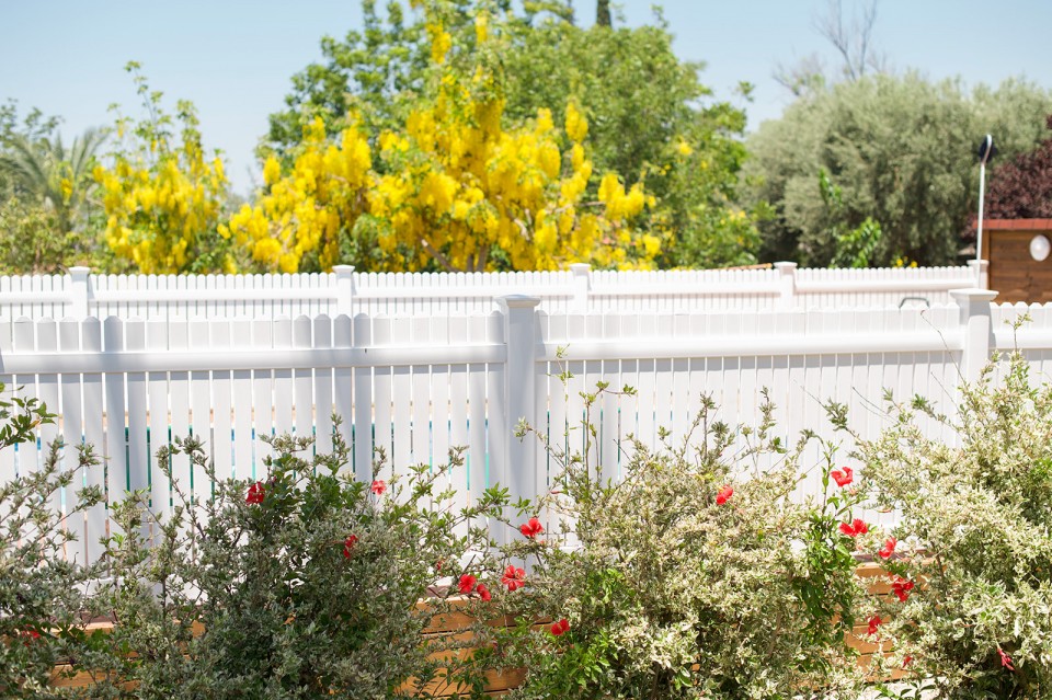 מתחם הבריכה