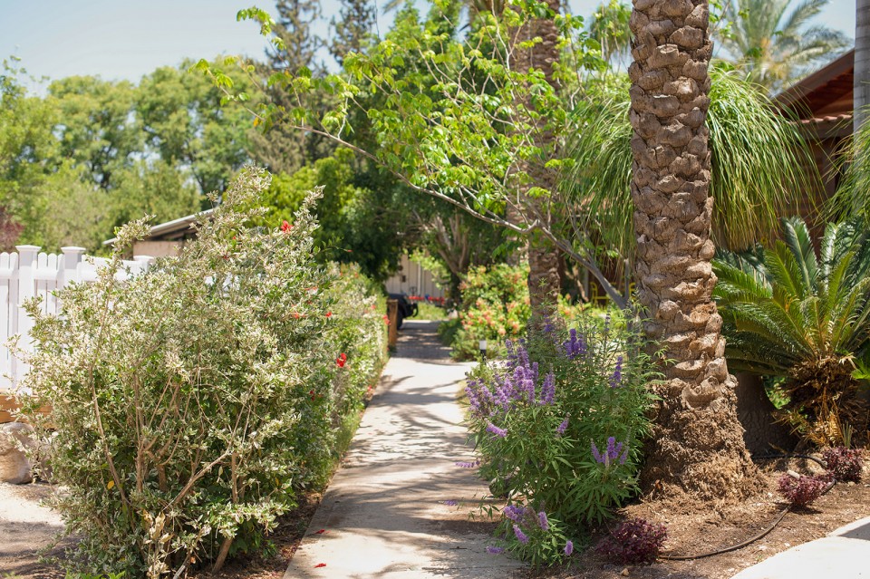 החצר והגינה