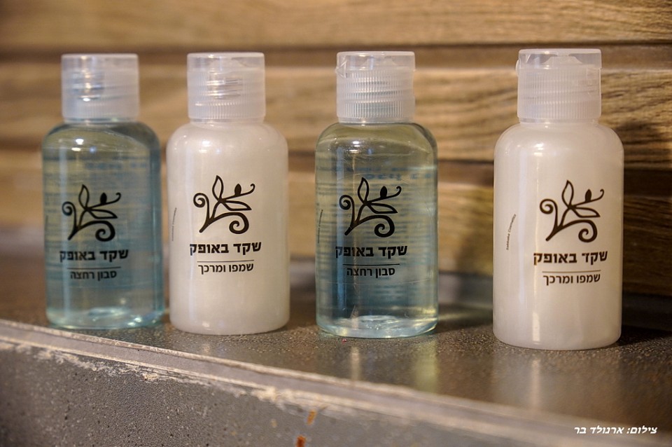 שקד באופק / רומאנס - תמונה מספר 19