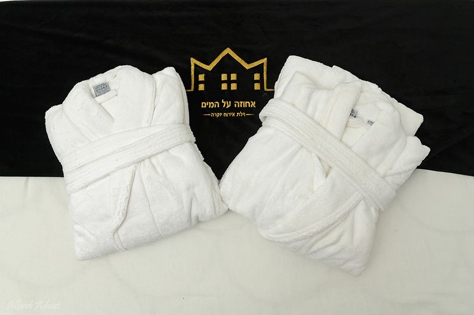 אחוזה על המים