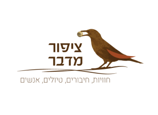 ציפור מדבר